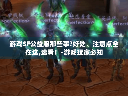 游戏SF公益服那些事?好处、注意点全在这,速看！-游戏玩家必知