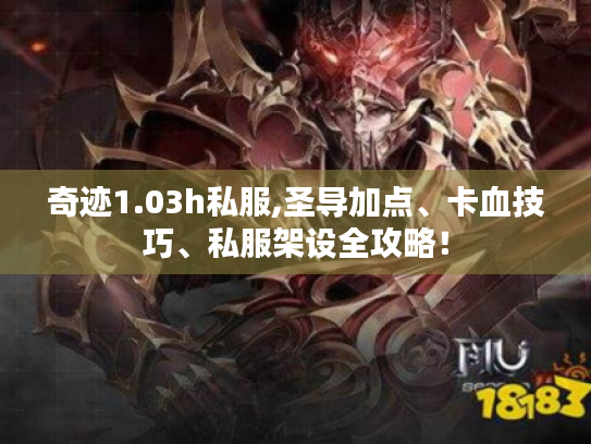 奇迹1.03h私服,圣导加点、卡血技巧、私服架设全攻略! 奇迹1.03h私服,圣导加点、卡血技巧、私服架设全攻略!