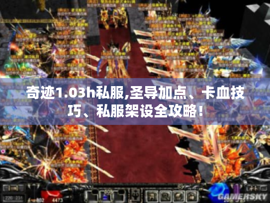 奇迹1.03h私服,圣导加点、卡血技巧、私服架设全攻略! 奇迹1.03h私服,圣导加点、卡血技巧、私服架设全攻略!