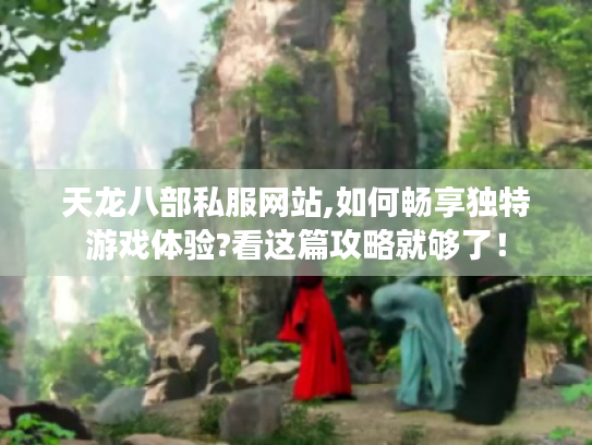 天龙八部私服网站,如何畅享独特游戏体验?看这篇攻略就够了！