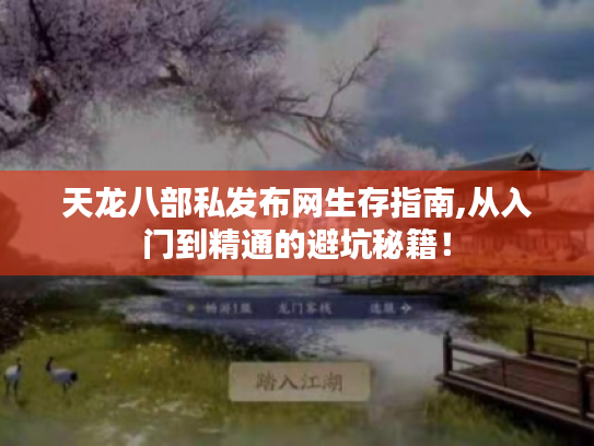 天龙八部私发布网生存指南,从入门到精通的避坑秘籍！