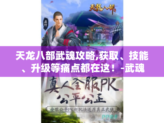 天龙八部武魂攻略,获取、技能、升级等痛点都在这！-武魂