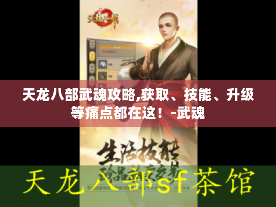 天龙八部武魂攻略,获取、技能、升级等痛点都在这！-武魂
