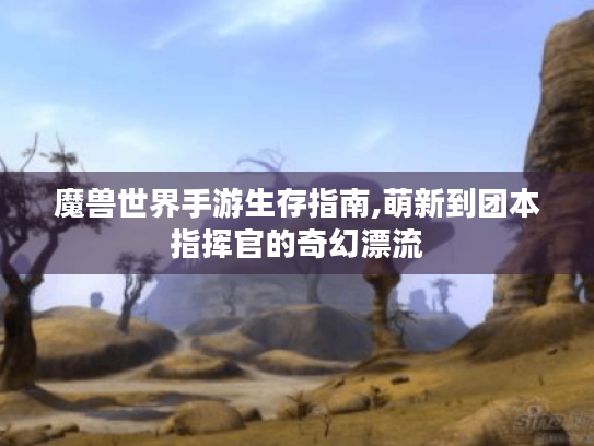 魔兽世界手游生存指南,萌新到团本指挥官的奇幻漂流