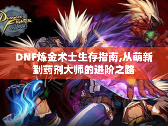 DNF炼金术士生存指南,从萌新到药剂大师的进阶之路