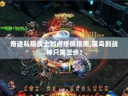 奇迹私服战士加点终极指南,菜鸟到战神只需三步！