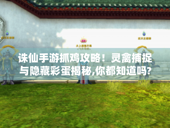 诛仙手游抓鸡攻略！灵禽捕捉与隐藏彩蛋揭秘,你都知道吗?-游戏玩家必备