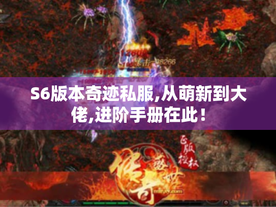 S6版本奇迹私服,从萌新到大佬,进阶手册在此！