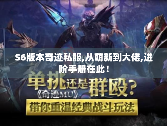 S6版本奇迹私服,从萌新到大佬,进阶手册在此！