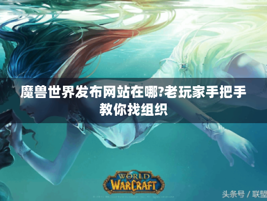 魔兽世界发布网站在哪?老玩家手把手教你找组织
