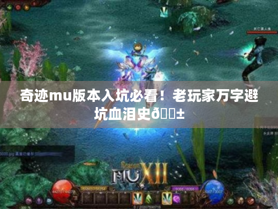 奇迹mu版本入坑必看！老玩家万字避坑血泪史😱