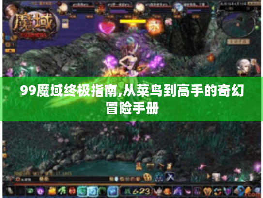 99魔域终极指南,从菜鸟到高手的奇幻冒险手册