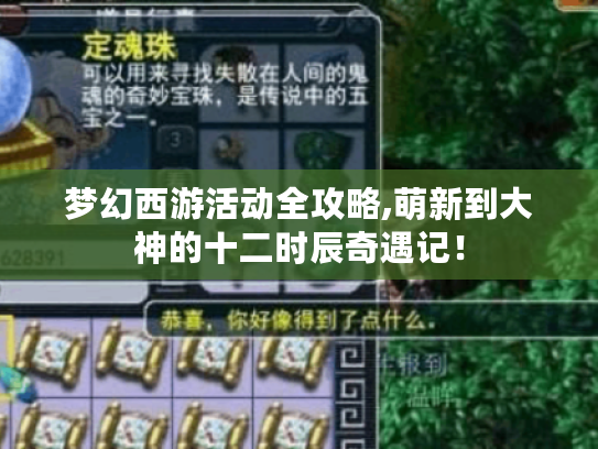 梦幻西游活动全攻略,萌新到大神的十二时辰奇遇记！