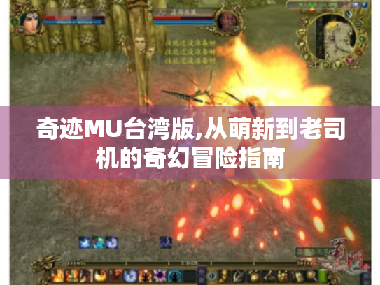 奇迹MU台湾版,从萌新到老司机的奇幻冒险指南