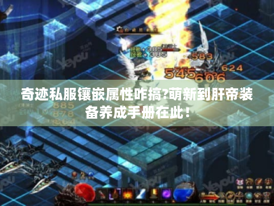 奇迹私服镶嵌属性咋搞?萌新到肝帝装备养成手册在此! 奇迹私服镶嵌属性咋搞?萌新到肝帝装备养成手册在此!