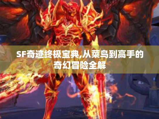 SF奇迹终极宝典,从菜鸟到高手的奇幻冒险全解