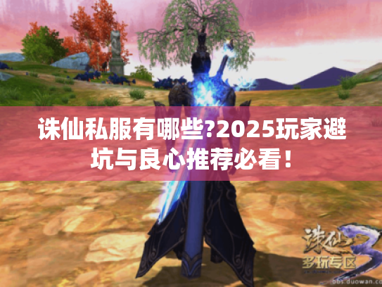 诛仙私服有哪些?2025玩家避坑与良心推荐必看！