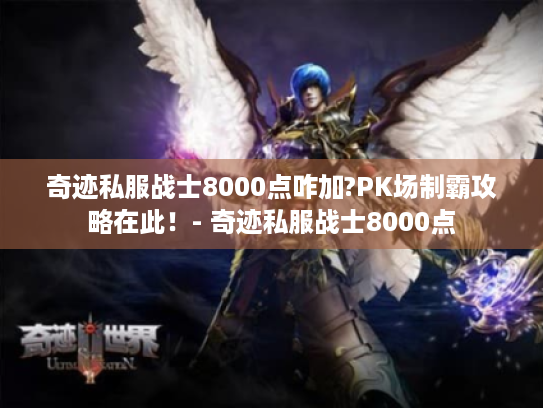 奇迹私服战士8000点咋加?PK场制霸攻略在此！- 奇迹私服战士8000点