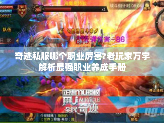 奇迹私服哪个职业厉害?老玩家万字解析最强职业养成手册