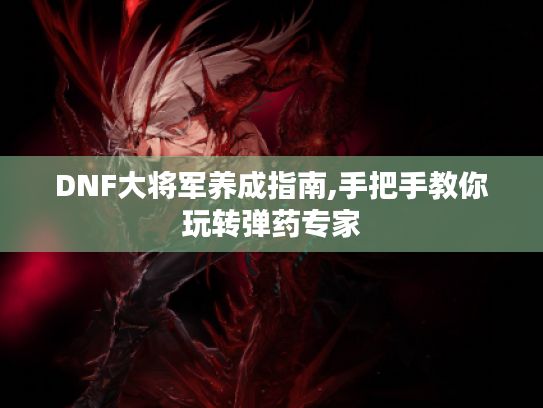 DNF大将军养成指南,手把手教你玩转弹药专家