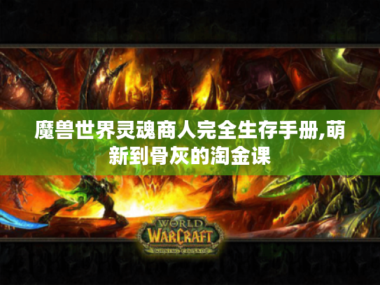 魔兽世界灵魂商人完全生存手册,萌新到骨灰的淘金课