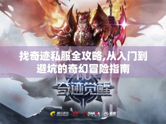 找奇迹私服全攻略,从入门到避坑的奇幻冒险指南