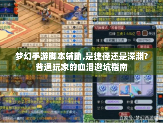 梦幻手游脚本辅助,是捷径还是深渊?普通玩家的血泪避坑指南 梦幻手游脚本辅助,是捷径还是深渊?普通玩家的血泪避坑指南