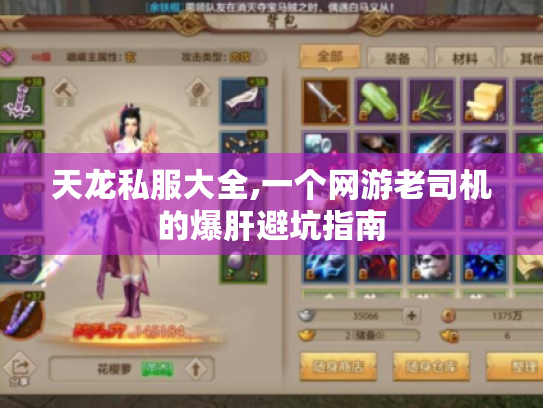 天龙私服大全,一个网游老司机的爆肝避坑指南