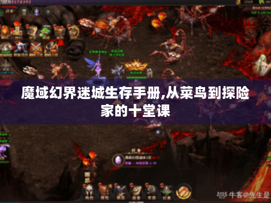 魔域幻界迷城生存手册,从菜鸟到探险家的十堂课