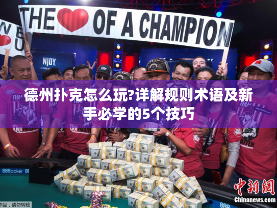 德州扑克怎么玩?详解规则术语及新手必学的5个技巧 德州扑克怎么玩?详解规则术语及新手必学的5个技巧