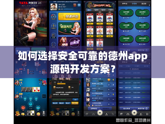 如何选择安全可靠的德州app源码开发方案？