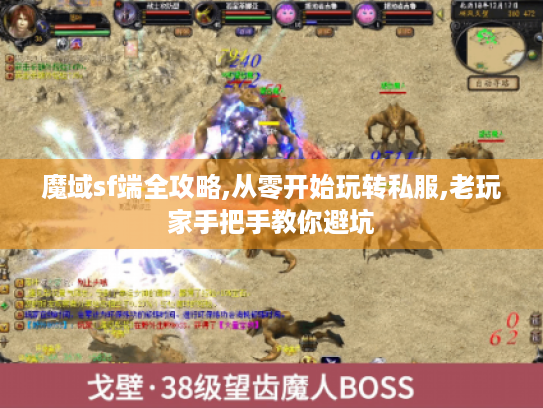 魔域sf端全攻略,从零开始玩转私服,老玩家手把手教你避坑
