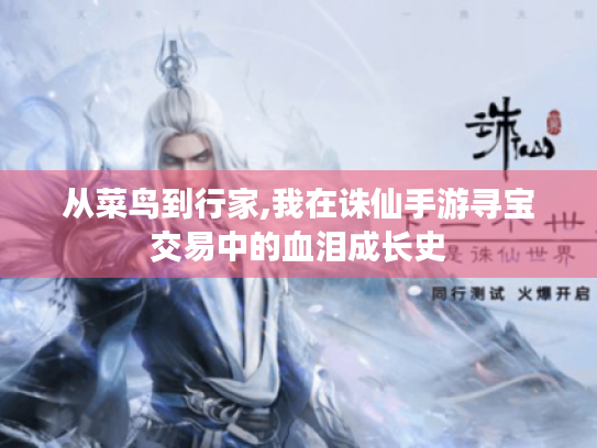 从菜鸟到行家,我在诛仙手游寻宝交易中的血泪成长史