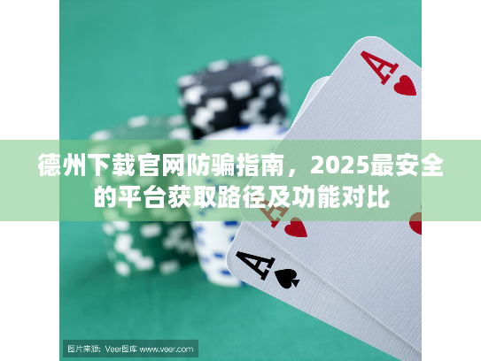 德州下载官网防骗指南，2025最安全的平台获取路径及功能对比