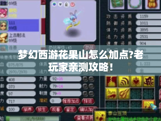 梦幻西游花果山怎么加点?老玩家亲测攻略！