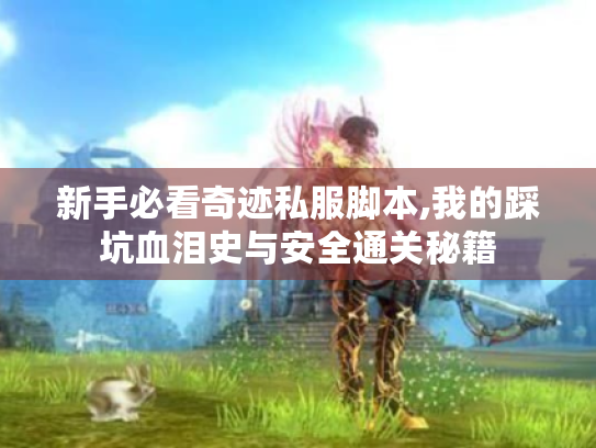 新手必看奇迹私服脚本,我的踩坑血泪史与安全通关秘籍