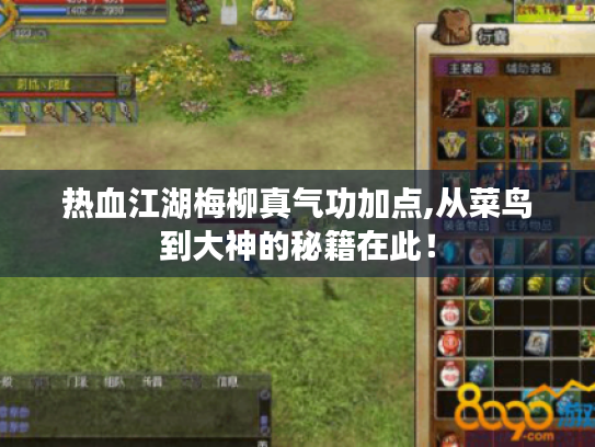 热血江湖梅柳真气功加点,从菜鸟到大神的秘籍在此！