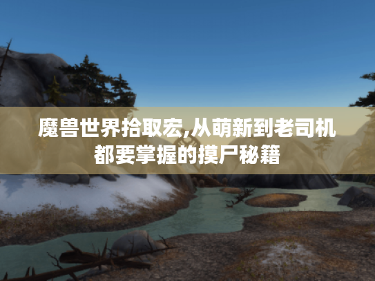 魔兽世界拾取宏,从萌新到老司机都要掌握的摸尸秘籍
