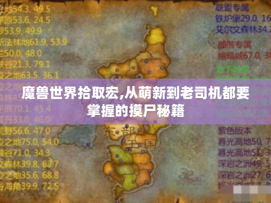 魔兽世界拾取宏,从萌新到老司机都要掌握的摸尸秘籍