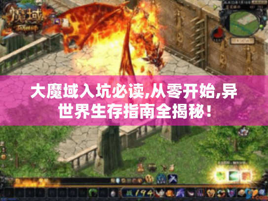 大魔域入坑必读,从零开始,异世界生存指南全揭秘！