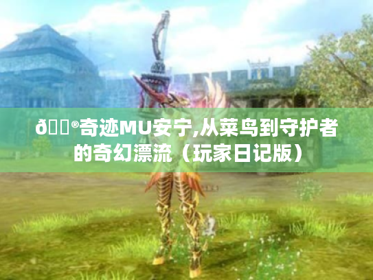 🎮奇迹MU安宁,从菜鸟到守护者的奇幻漂流（玩家日记版）