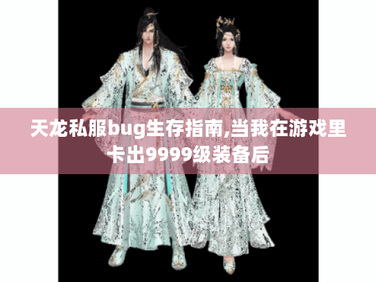 天龙私服bug生存指南,当我在游戏里卡出9999级装备后