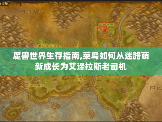 魔兽世界生存指南,菜鸟如何从迷路萌新成长为艾泽拉斯老司机