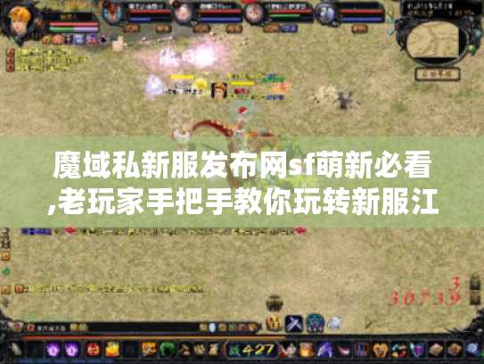 魔域私新服发布网sf萌新必看,老玩家手把手教你玩转新服江湖