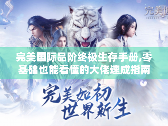 完美国际品阶终极生存手册,零基础也能看懂的大佬速成指南 完美国际品阶终极生存手册,零基础也能看懂的大佬速成指南