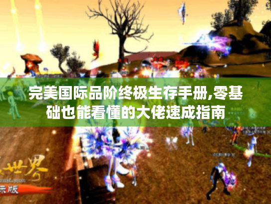 完美国际品阶终极生存手册,零基础也能看懂的大佬速成指南 完美国际品阶终极生存手册,零基础也能看懂的大佬速成指南