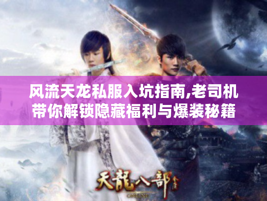 风流天龙私服入坑指南,老司机带你解锁隐藏福利与爆装秘籍