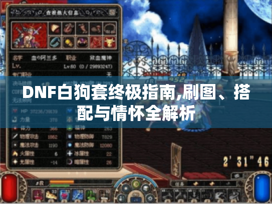 DNF白狗套终极指南,刷图、搭配与情怀全解析