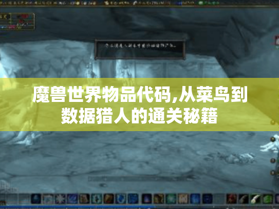 魔兽世界物品代码,从菜鸟到数据猎人的通关秘籍