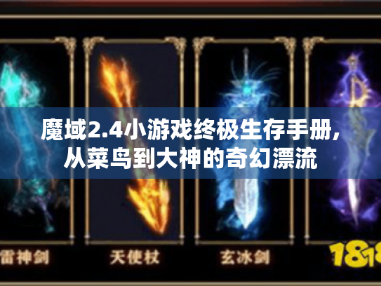 魔域2.4小游戏终极生存手册,从菜鸟到大神的奇幻漂流